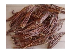 山东冠县靖当铺灵芝种植园供应鹿角灵芝图1