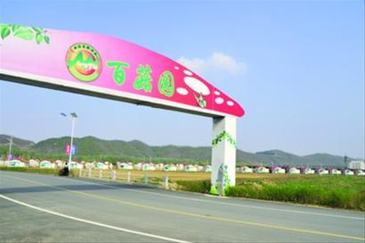 打造“全国蘑菇第一县”扬起辽宁农业产业化的一面大旗