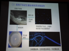 简介：