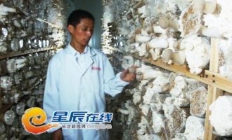 长沙县工厂化生产出优质蘑菇 ()
