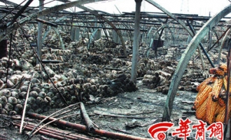 兴平市：一场大火烧毁60个蘑菇大棚 ()