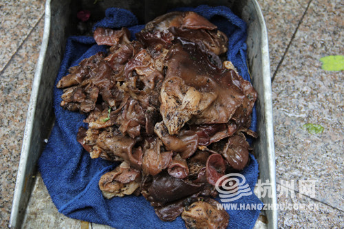 杭州大雨后  路邊樹(shù)干長(zhǎng)出木耳