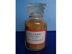 浙江万丰虫草图1