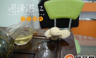 趣事：茶几上长出蘑菇 ()