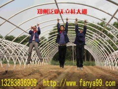 温室设备 大棚种植技术 大棚骨架机 大棚配件 泛亚大棚图1