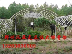 大棚骨架新技术，农村致富好项目图1