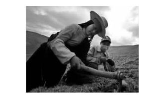 ◆图为在藏族同胞中流传着虫草是神草，挖到是善人的说法，所以挖到虫草的藏族同胞都会无比喜悦!