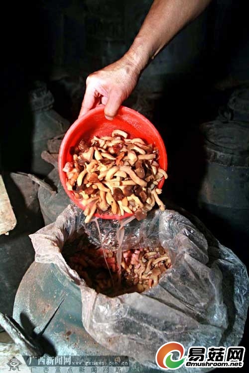 柳州:加工问题食品屡查屡犯 警方查获180桶臭蘑菇