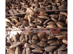 大量供应野生木灵芝图1