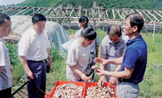 吉林省集安市深入推进食用菌标准化示范区项目实施 ()