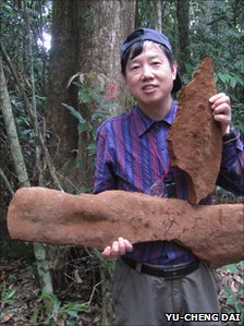 中国发现世界上最大的真菌子实体 ()