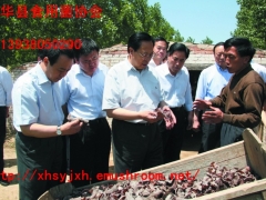 时任省委书记徐光春（中）在市、县领导陪同下视察西华县食用菌协会