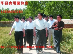 时任省委书记徐光春（中）在市、县领导陪同下视察西华县食用菌协会