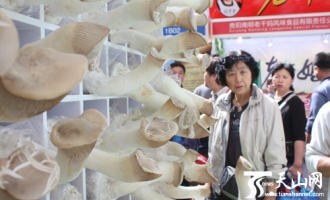 亚欧博览会上的大蘑菇 ()