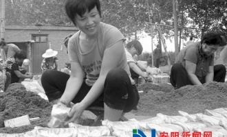 汤阴县白营乡食用菌种植突飞猛进 留守妇女实现家门口就业 ()
