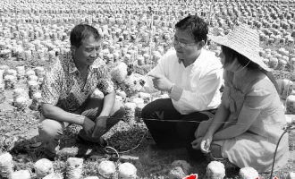 山西省广灵县露地栽植黑木耳成为农民增收的有效途径 ()