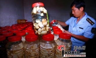 乌鲁木齐：蘑菇罐头黑作坊被查处 ()