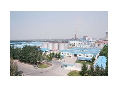 大量供应棉籽壳图1