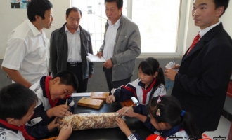 陕西省丹凤县峡河小学开设袋料香菇栽培技术培训课 ()