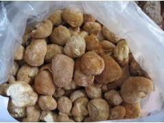 批发猴头菇26000元/吨图1