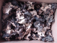 批发干木耳30000元/吨图1