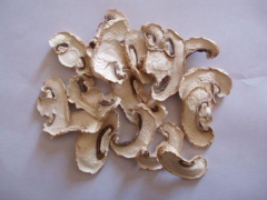 干蘑菇 各种干货类最新批发价图1