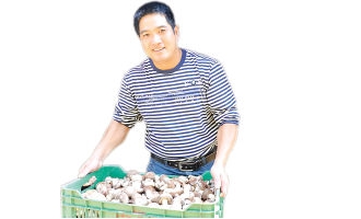 李光弟从菇商到种菇大户 ()