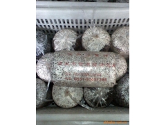 生产、批发： 黑木耳 平菇 冻蘑 杏鲍菇 菌种图1