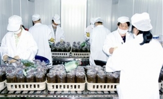 湖南国进食用菌开发有限公司参加2011中国中部国际农博会 ()