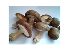 新鲜冬菇图1