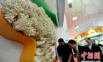 第五届中国蘑菇节在福建漳州举行 ()