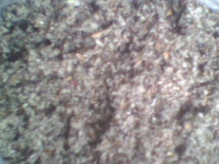 大量供应优质棉壳（细壳、中绒）—厂家直销图1