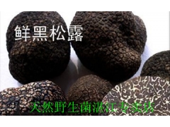 长期供应一级黑松露图1