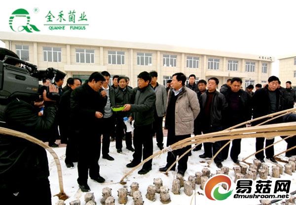 朝阳县领导到辽宁全禾菌业有限公司视察指导