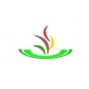 关于举办“2012中国国际食用菌产业（郑州）博览会”的函