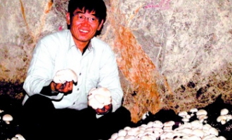 防空洞里种蘑菇　家庭种植效益好 ()