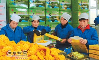 康县大力发展银耳、香菇等特色农产品增加群众收入 ()
