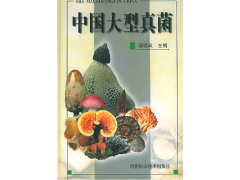 全新《中国大型真菌》图1