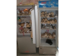 供应全国各地菌种图1