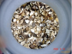 冬天特色干香菇销售 提供香菇干燥机械图1