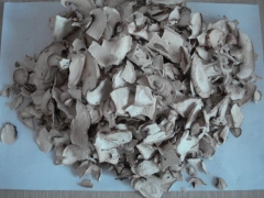 脱水蘑菇技术及设备图1