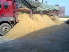 供应福建节省棉籽壳食用菌杏鲍菇栽培原料广西产甘蔗渣图1