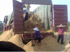 供应福建节省棉籽壳食用菌杏鲍菇栽培原料广西产甘蔗渣图3