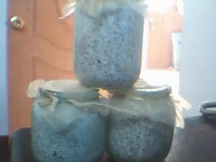 菌种厂供应南韩赤灵芝菌种图2