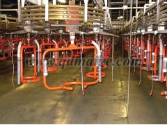 青岛麦格悬挂输送机图3