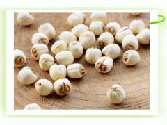 石城通心白莲莲心莲蕦莲叶图1