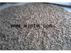 天麻种子多少钱一斤图1