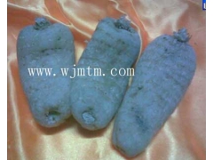 天麻种子 萌发菌 天麻种植技术 天麻密环菌  天麻种子价格图3