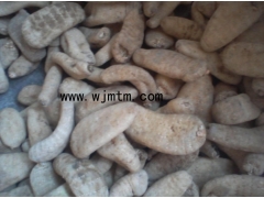 天麻 天麻种植前景图2