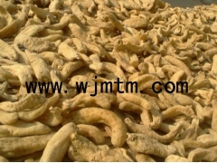 天麻 天麻种植前景图3